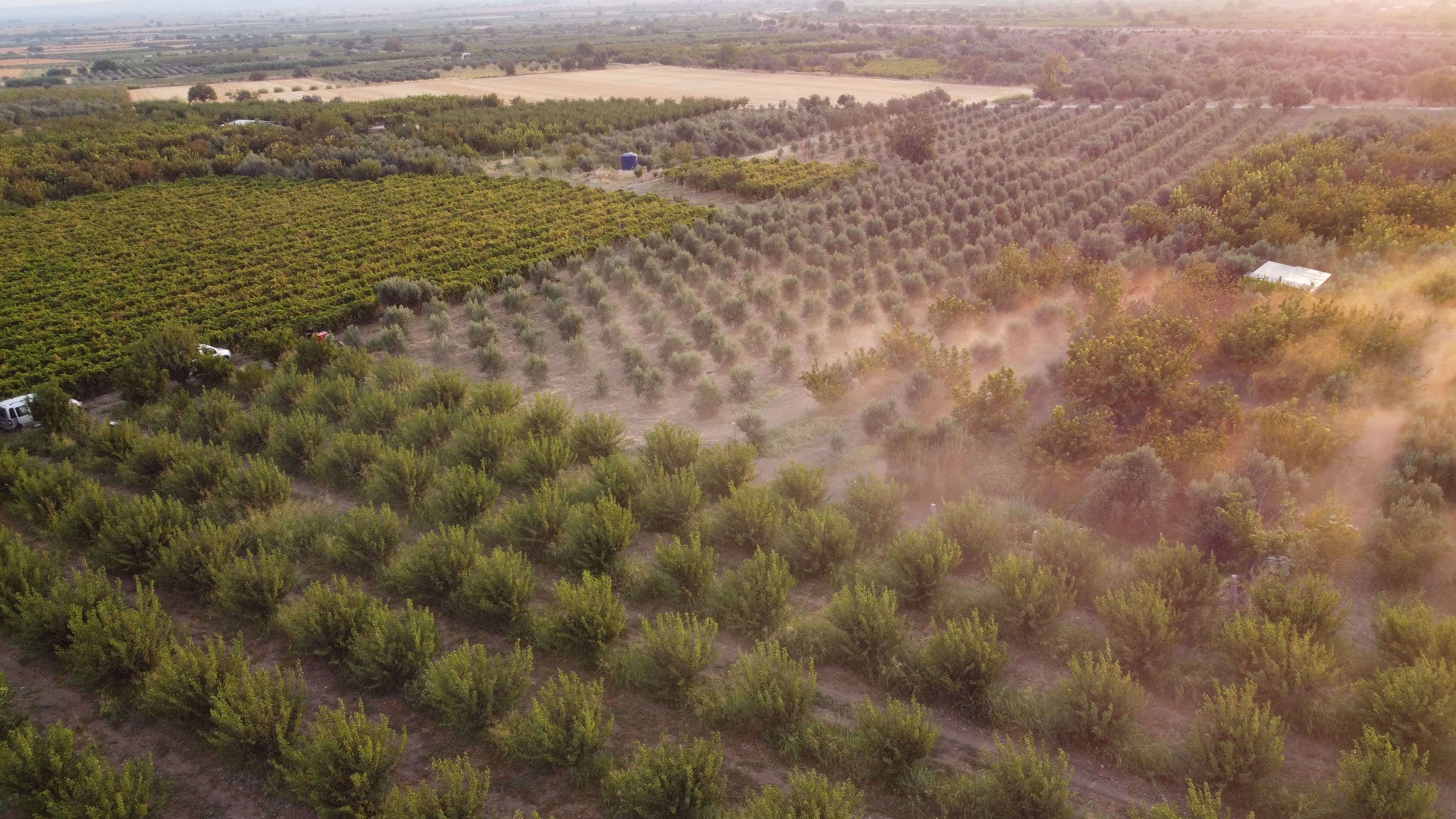 Real-Time Microclimate Monitoring Activates Only at Real Frost Risk